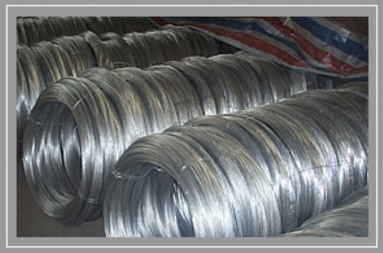 Galvanized Iron Wire